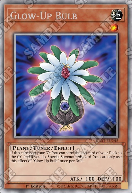 Glow Up Bulb Glow Up Bulb