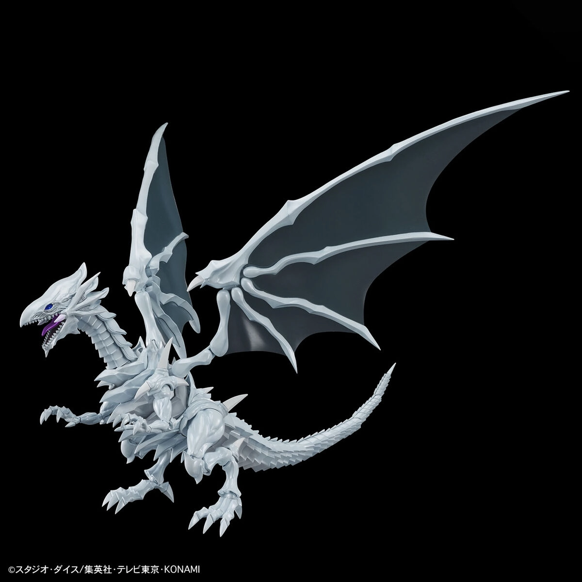 Figure-rise Standard Amplified Dragon Blanc aux Yeux Bleus